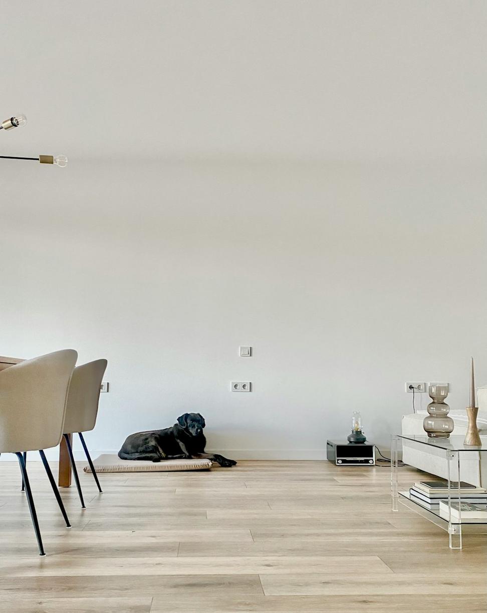 Yorkville Penthouse
